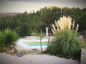 um jardim com piscina e algumas plantas em Quinta Quatro Ventos na Sert