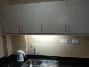 eine Küche mit einem Waschbecken und einigen Schränken in der Unterkunft Nairobi west suite in Nairobi