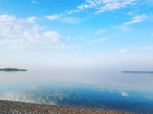 a body of water with a bunch of birds in the water at Sandaway Suites & Beach in Oxford