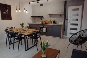 Køkken eller tekøkken på Apartament Centrum 2 sypialnie i salon + 10 billeder