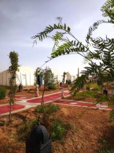 a view of a park with trees and buildings at Sahara Majestic Luxury Camp in Merzouga