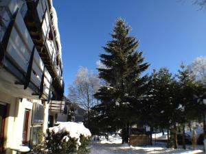 Haus Merian v zimě