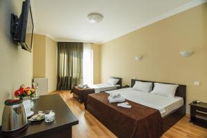 TV a/nebo společenská místnost v ubytování Hotel Egrisi