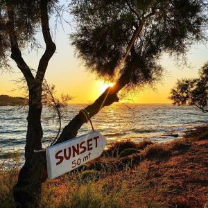 a sign sitting on the beach next to a tree at Sunset Studios & Rooms in Antiparos