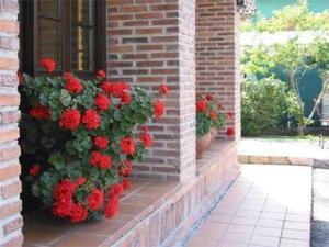 Φωτογραφία από το άλμπουμ του Hotel Benzua σε Villanueva de Ardisana +18 φωτογραφίες
