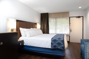 a hotel room with a large bed and a window at Little Ocmulgee State Park and Lodge in McRae