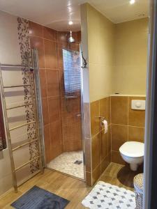 a bathroom with a shower and a toilet at Bulle de sel in Caudan