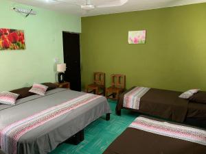 duas camas num quarto com paredes verdes em casa alegria em Mérida
