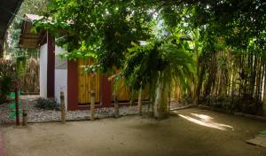 Zahrada ubytování Hostal Corazón de Tagua