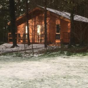 a log cabin with snow in front of it at Butterfly cabin in Limerick