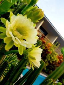 Giardino di Vaea Hotel Samoa