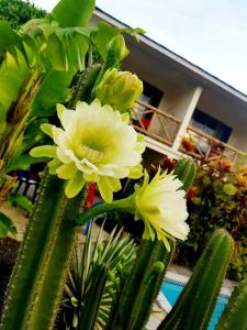 Giardino di Vaea Hotel Samoa