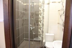 
a bathroom with a shower stall and a toilet at Hotel Soyuz in Irkutsk
