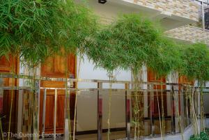 Fotografie z fotogalerie ubytování Mountain View Garden Inn Coron v destinaci Coron