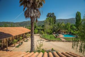 um resort com uma palmeira e uma piscina em Hotel Posada Colchagua em Santa Cruz