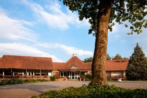 un bâtiment avec un arbre en face dans l'établissement Hôtel Restaurant La Vallée Noble, à Soultzmatt