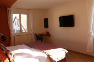 TV a/nebo společenská místnost v ubytování Auberge Au Lion d'Or