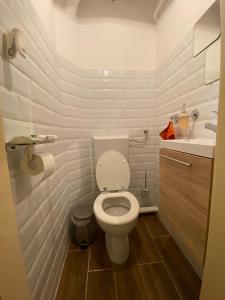 La salle de bains blanche est pourvue de toilettes et d'un lavabo. dans l'établissement Kamocsay Vendégház, à Mór