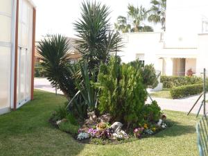 un jardín con palmeras y flores en un patio en Bahía de Vera Apartamento Alejandro, en Vera