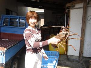 a woman holding a bunch ofarantula in her hand at Suzunami in Toba