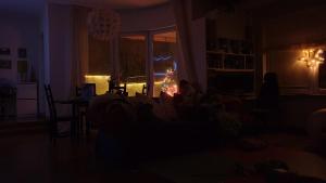 a dark living room with a christmas tree in the window at MadamPuzo Terrace in Rīga
