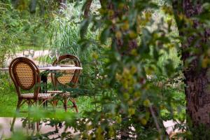 Mbano Manor Hotel Victoria Falls外面的花园