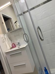 a bathroom with a shower with a sink and a mirror at Apartament „Ogrodowa” in Bolesławiec