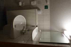 łazienka z pisuarem i toaletą w obiekcie Gasthof Knupfer w mieście Ehingen