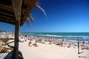
a beach filled with lots of beach chairs and umbrellas at Mar del Faro in Mar del Plata
