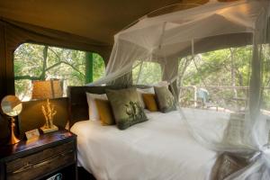 Gallery image of Camp Bethel in Hoedspruit