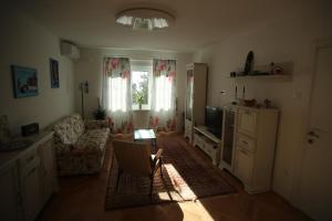 Televízia a/alebo spoločenská miestnosť v ubytovaní Apartman MAMI-KROK