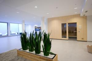 Hol lub recepcja w obiekcie Alpenrock Schladming by ALPS RESORTS