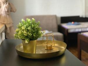 una mesa con una vela y un jarrón con flores. en Apartments Kristina, en Klenovica