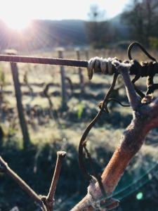 a rusted fence with the sun in the background at Gîte La Source in Grusse