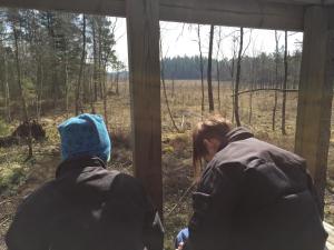 Loodusmaastik puhkemajakeste lähedal