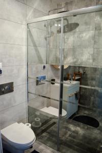 a bathroom with a glass shower with a toilet at APARTAMENTY VINCI in Krasnystaw