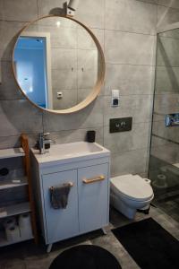 a bathroom with a sink and a mirror and a toilet at APARTAMENTY VINCI in Krasnystaw