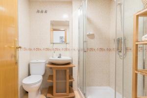 W łazience znajduje się toaleta, umywalka i prysznic. w obiekcie ALC - Apartamento céntrico en calle Mayor w Alicante
