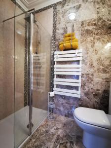 a bathroom with a toilet and a glass shower at Dolweunydd Bed and Breakfast in Betws-y-coed