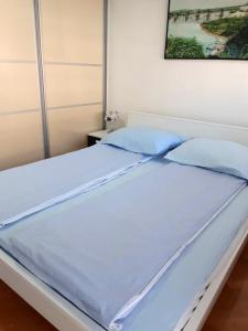 ブルチコにあるApartman Bulevar 1のベッドルーム1室(青い枕付)