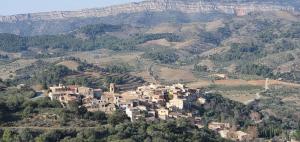 een dorp op een heuvel met bergen op de achtergrond bij Apartment Cal Viola in Torroja