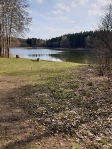 a grassy field with a body of water at Fuchsbaude in Allrode