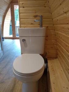 a bathroom with a toilet in a wooden cabin at Glen View Pod in Inverlochy +7 photos