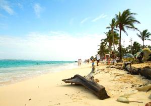 a beach with a tree branch on the sand and the ocean at Apartamento para parejas frente a la playa San Andres in San Andrés