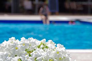 Bazén v ubytování Sun Beach Hotel nebo v jeho okolí