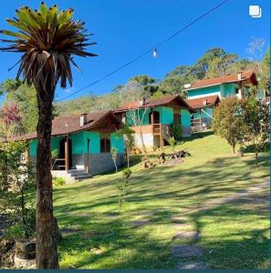 une maison avec un palmier en face dans l'établissement Chalés Aguá Cristalina, à Visconde de Mauá
