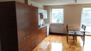 Kuchyňa alebo kuchynka v ubytovaní Zawoja1560 Apartamenty przy Aptece