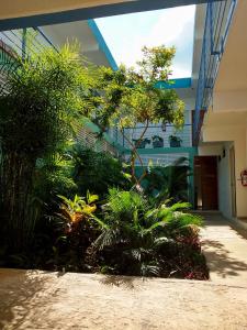 un bâtiment avec une bande de plantes dans une cour dans l'établissement Gran Jaguar Hotel, à Bacalar