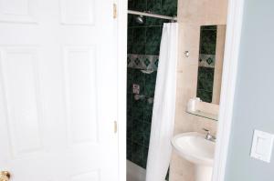 uma casa de banho com um lavatório e um chuveiro em Ponce De Leon Hotel em St. Petersburg