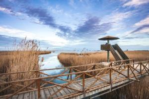 a wooden bridge with an umbrella over a river at Casetes Joan de Pataca 3 in Deltebre